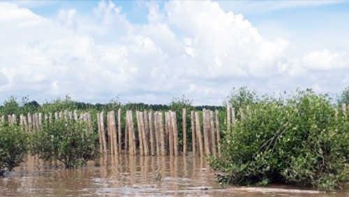 Dự án tiêu biểu